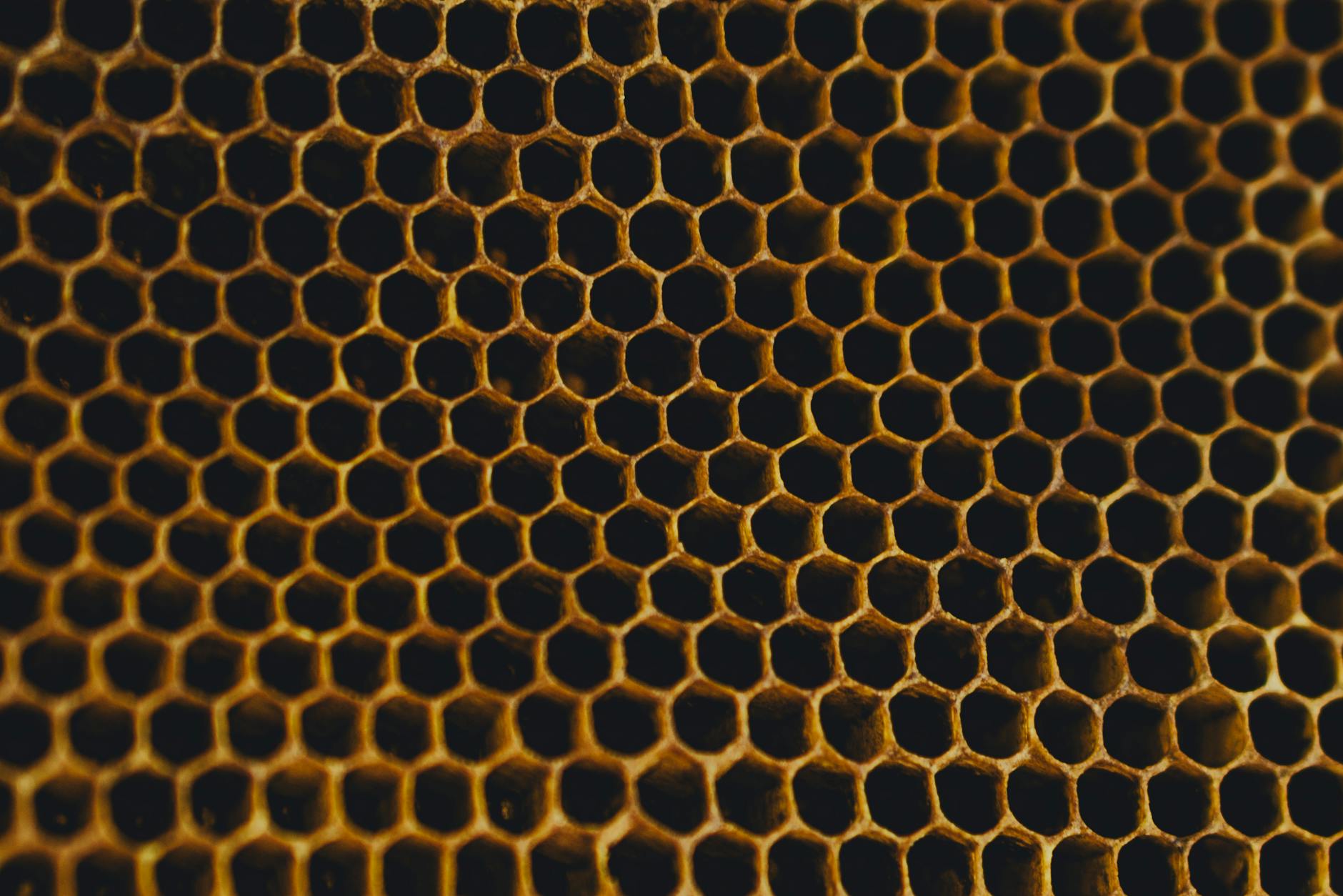 2. Cellular (Honeycomb) Shades — Energy Efficiency Champions