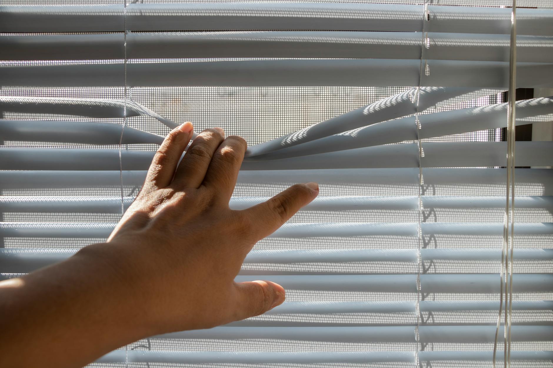 7. Blinds Galore vs. Big-Box Retailers — How a Local Owner Makes the Difference