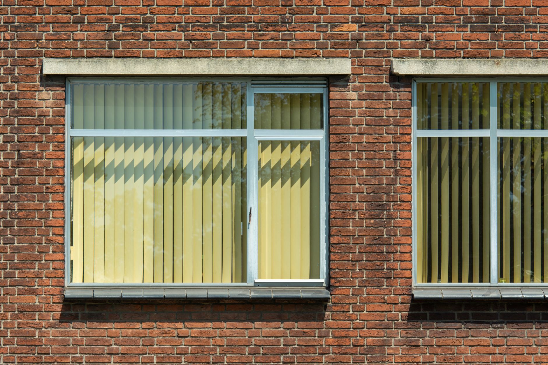 Ready to Transform Your Jackson, TN Office Windows?