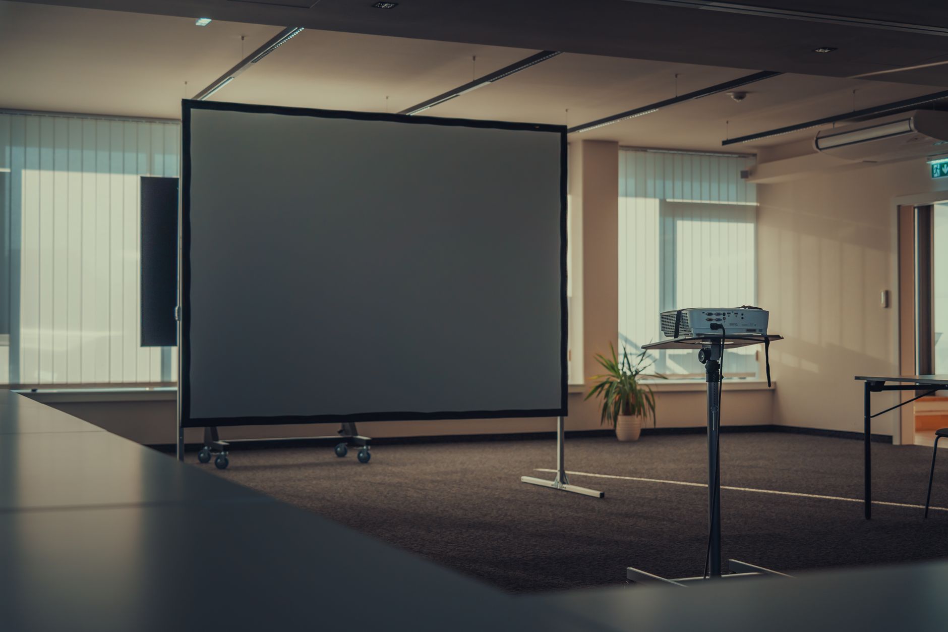 4. Blackout Roller Shades — Conference Rooms and Media Spaces