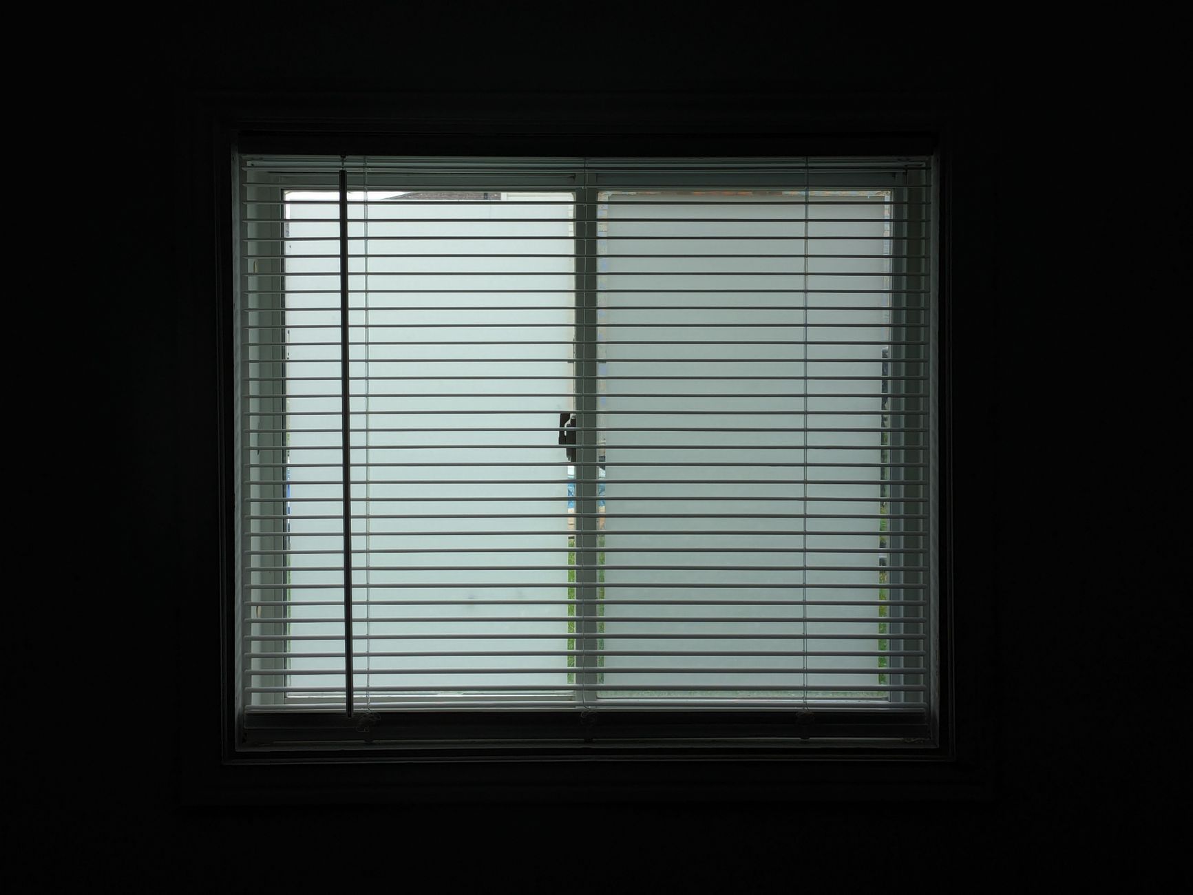 3. Light Control and Privacy: Which Gives You More Options?