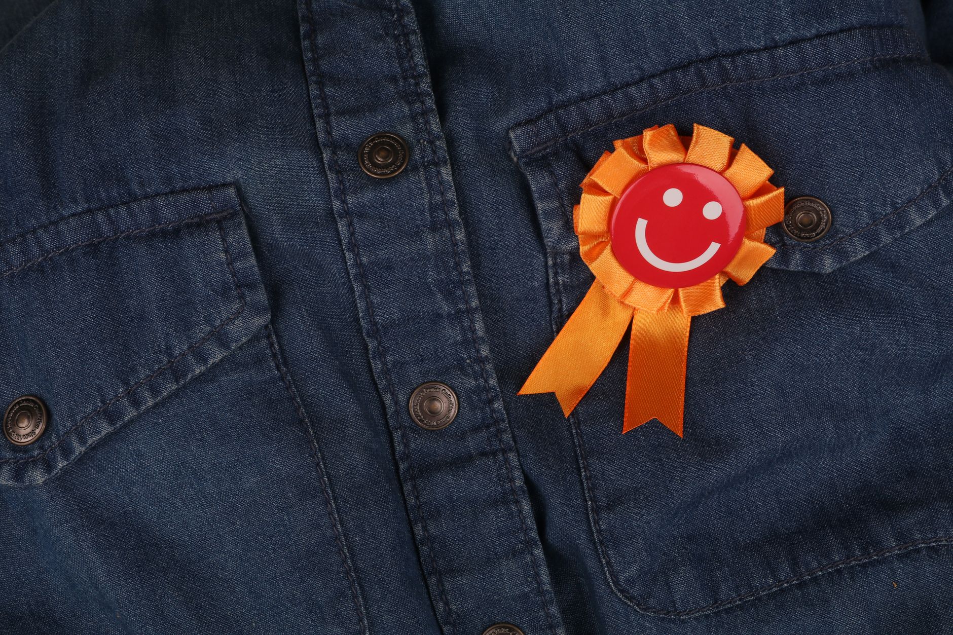 8. The 100% Satisfaction Guarantee: What It Actually Covers