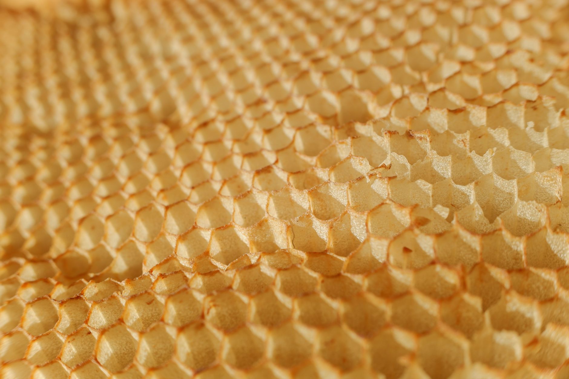 7. Energy Efficiency — How Videos Help You Understand Insulating Power