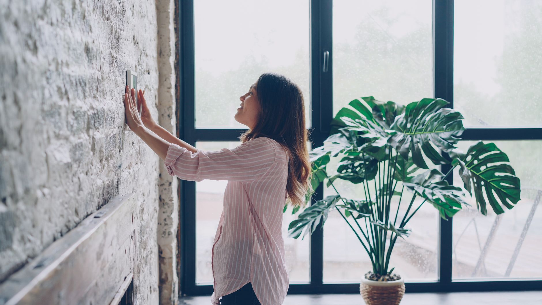 3. Cordless Cellular Shades — Energy Efficiency Meets Pet Safety