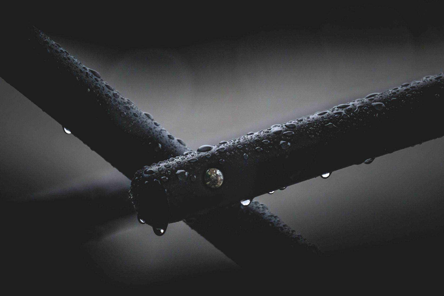 4. Moisture and Humidity Resistance: A Critical Factor for Screened Porches