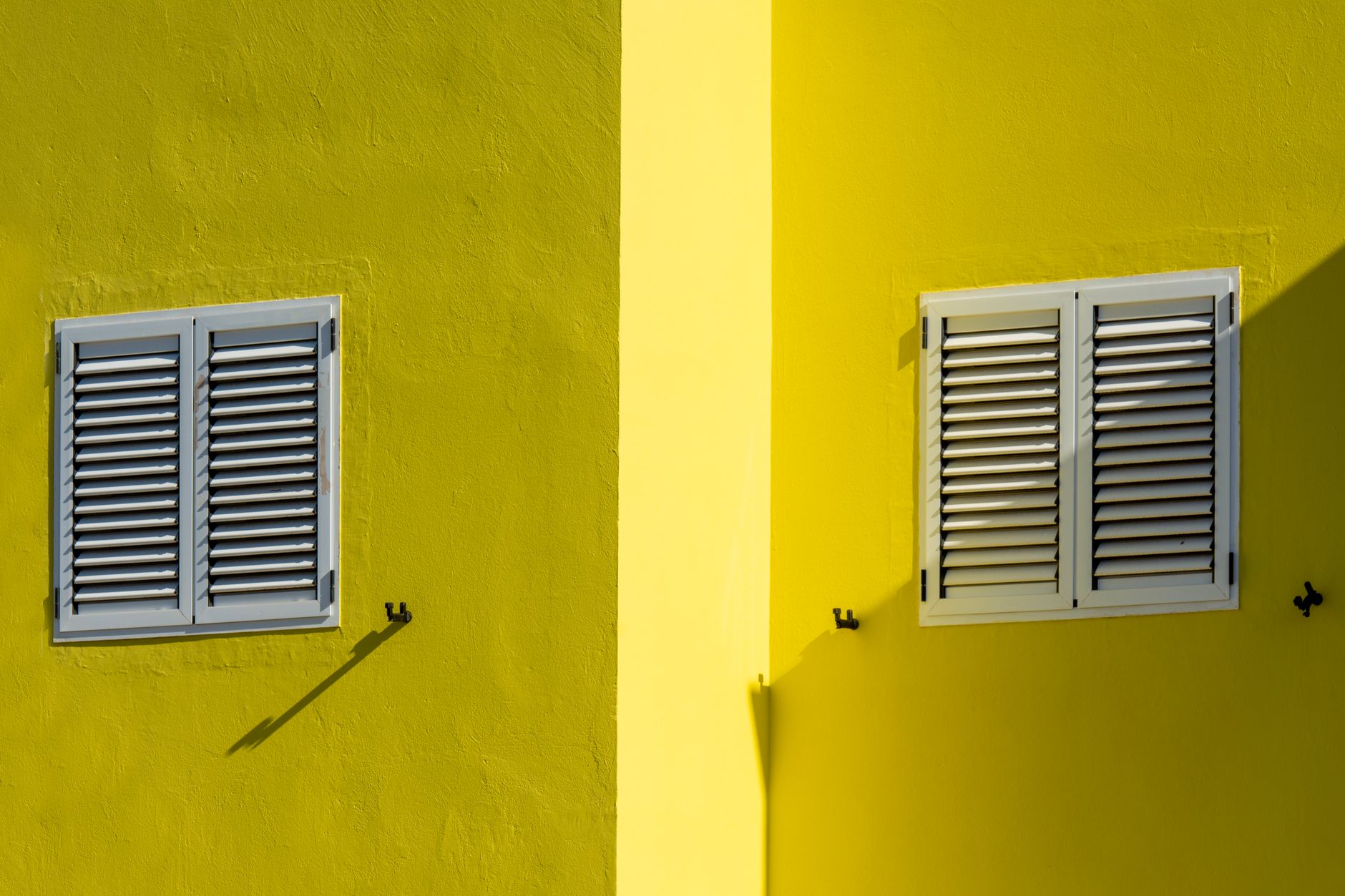 Why Plantation Shutters Are the Gold Standard for Living Rooms